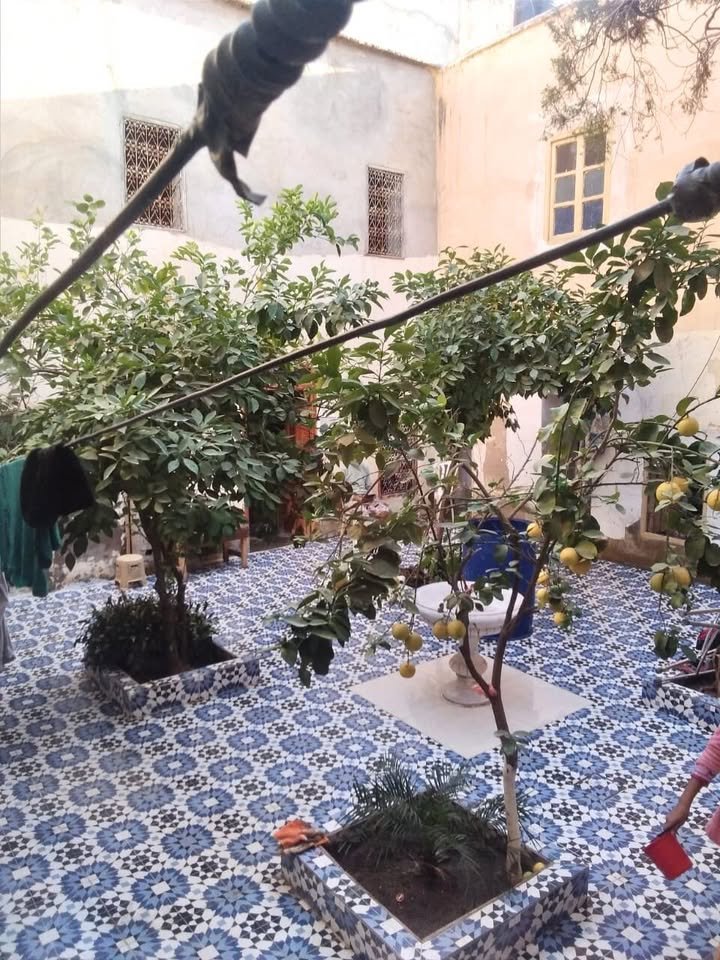 Ancien riad à vendre